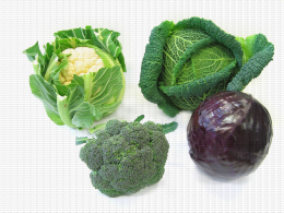Choux famille : chou-fleur, frisé, rouge et broccoli, spécimens sans défauts
